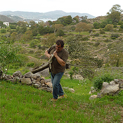 Susainable Working Farm