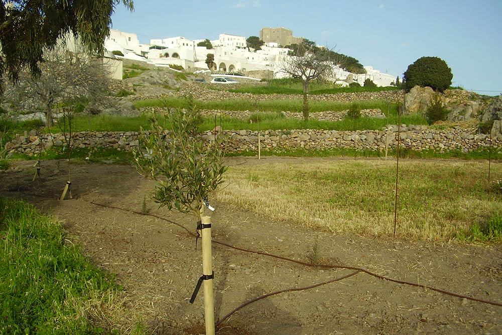 Patmos land restoration