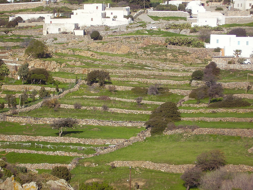 Holy of holies garden