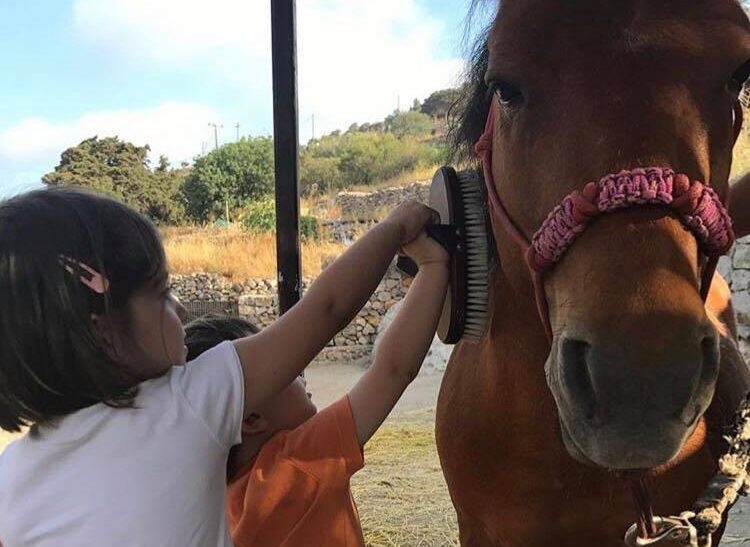 Patmos-Sustainability-Ecology-Learning-Hospitality-Chora-Ecotourism-Horses-Hiking