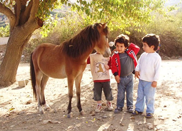 Patmos-Sustainability-Ecology-Learning-Hospitality-Chora-Ecotourism-Horses-Hiking
