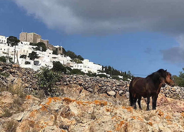 skyrian horses